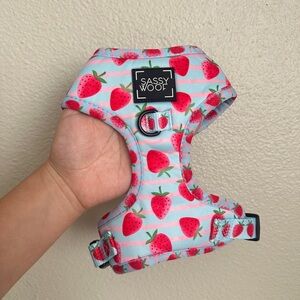 Strawberry Dog Harness
